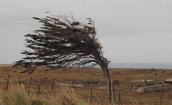 Rige Un Alerta Por Fuertes Vientos En Chubut ¿a Qué Ciudades Afectará 2639