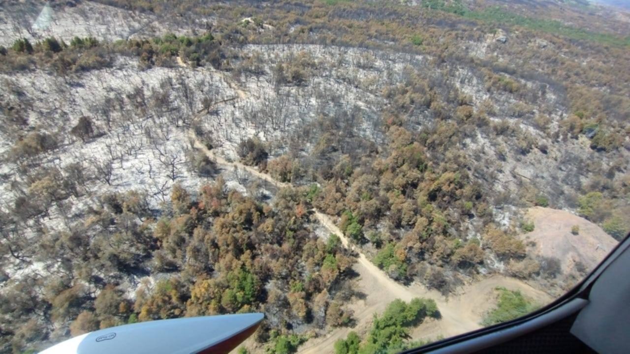 El incendio en el Parque Los Alerces sigue controlado: el fuego consumió casi 7 mil hectáreas