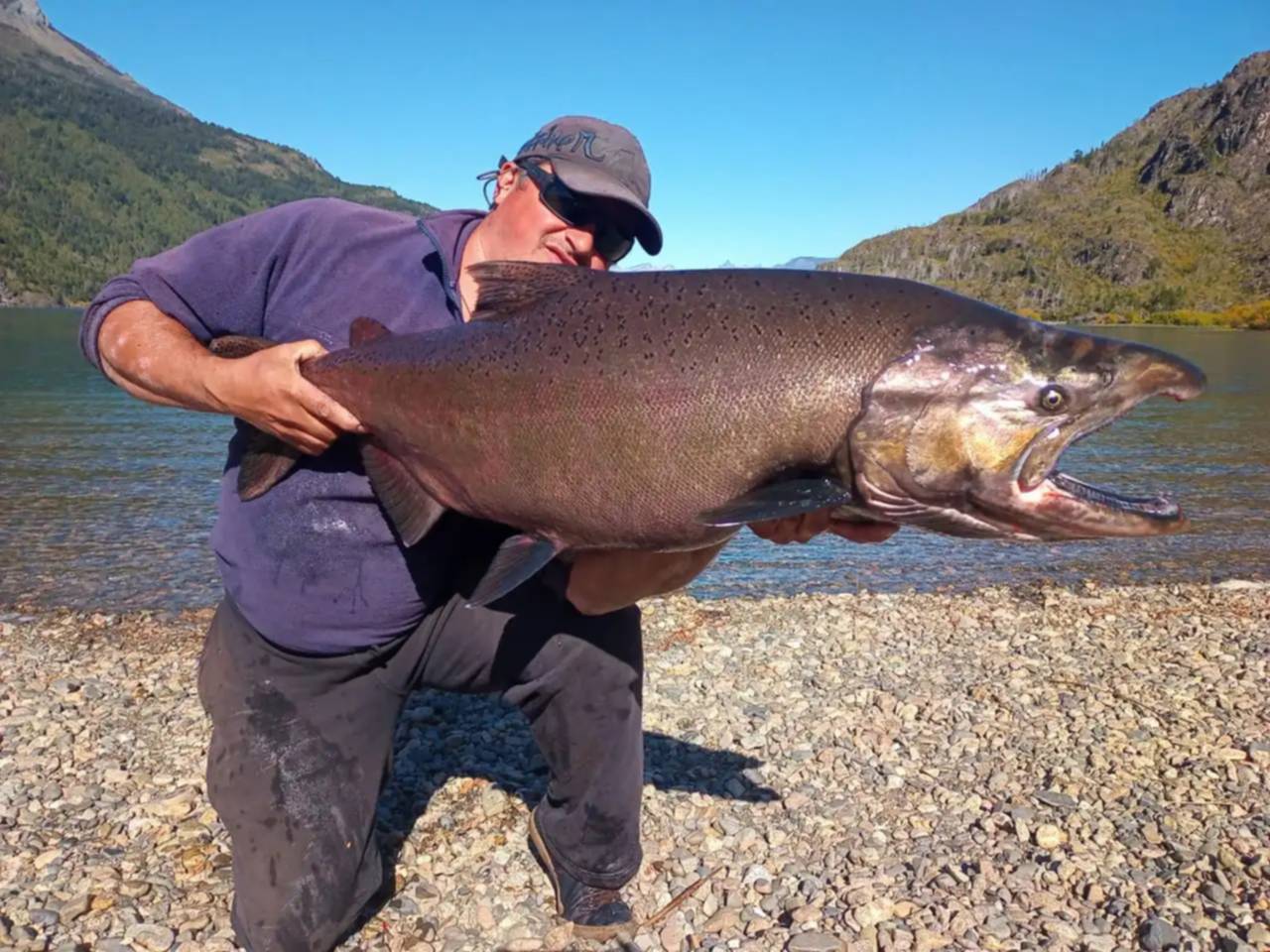 Lago Pueblo: un hombre pescó un salmón de 16 kg