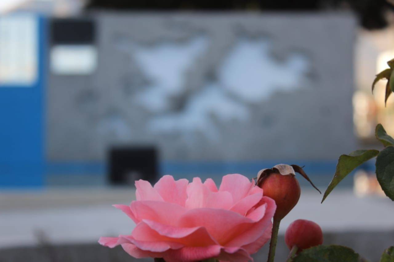 Clima: ¿Qué dice el pronóstico del tiempo para este martes en Esquel?