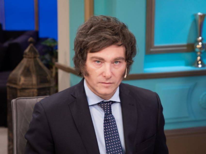 La plataforma completa de Milei: Derogar la ley de aborto, libre venta de armas y fin de la educación sexual obligatoria