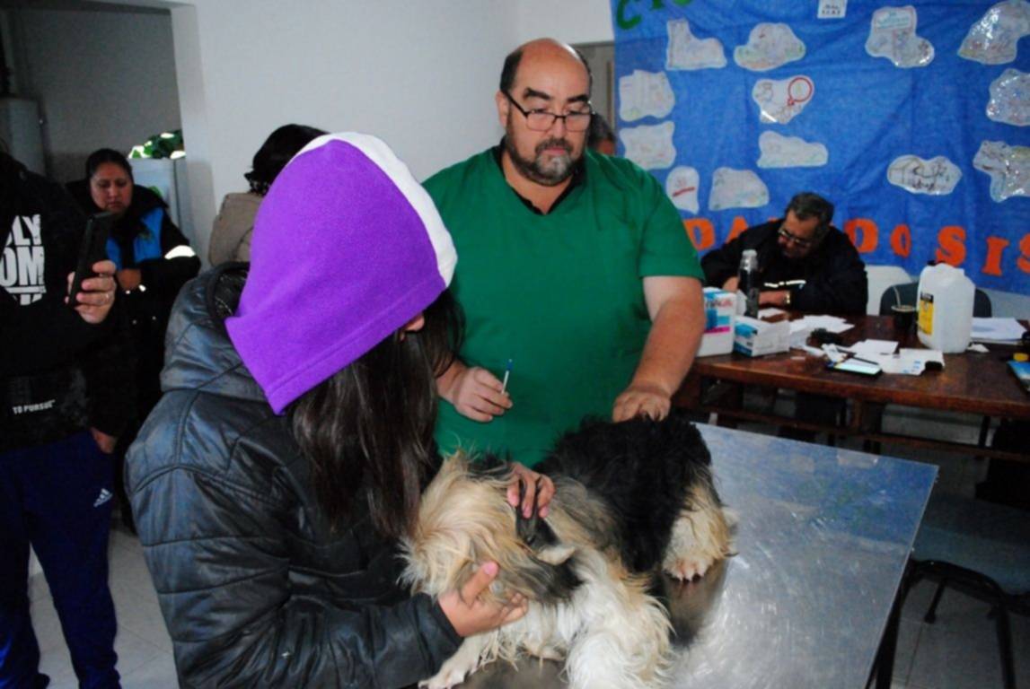 El municipio y el Área Programática realizaron una campaña de vacunación antirrábica en Valle Chico 