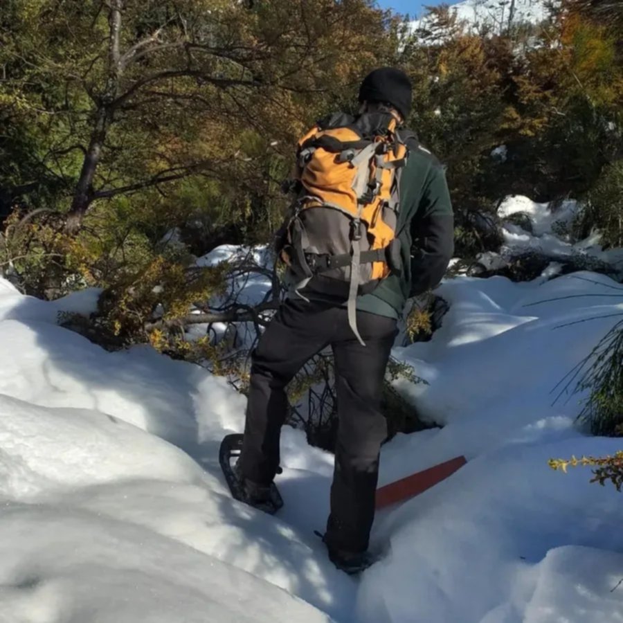 Metros de nieve acumulada y árboles caídos: cierran el Parque Nahuel Huapi por el temporal