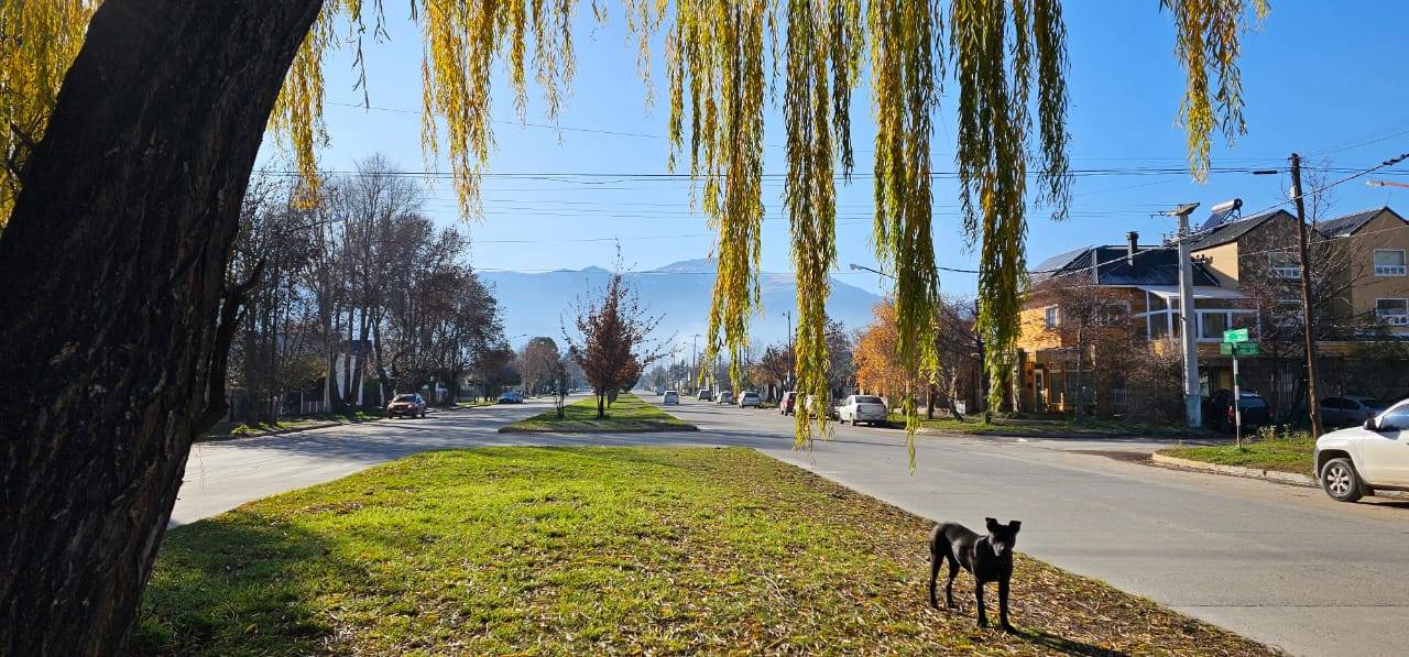 Clima: ¿Qué dice el pronóstico del tiempo para este sábado en Esquel?