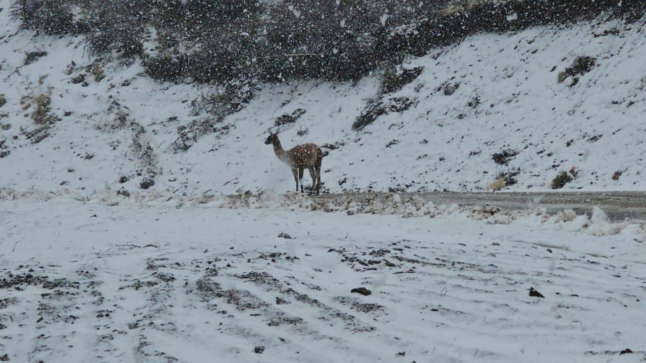 Clima: ¿Qué dice el pronóstico del tiempo para este martes en Esquel?