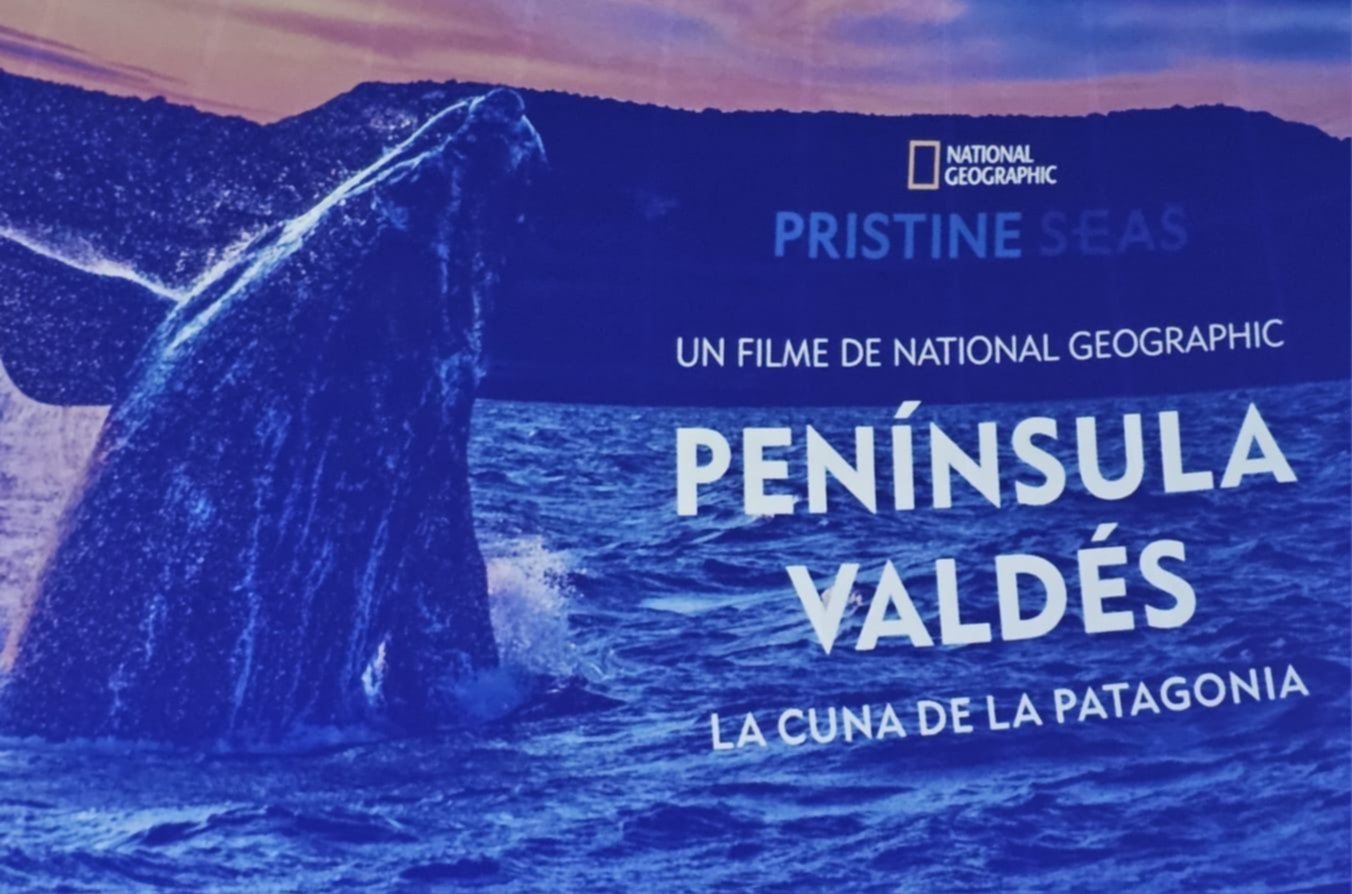 Chubut y National Geographic celebran el Día Mundial de los Océanos con documental en Buenos Aires