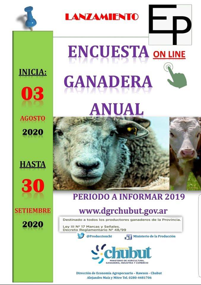 El Gobierno provincial lanza la Encuesta Pecuaria 2020
